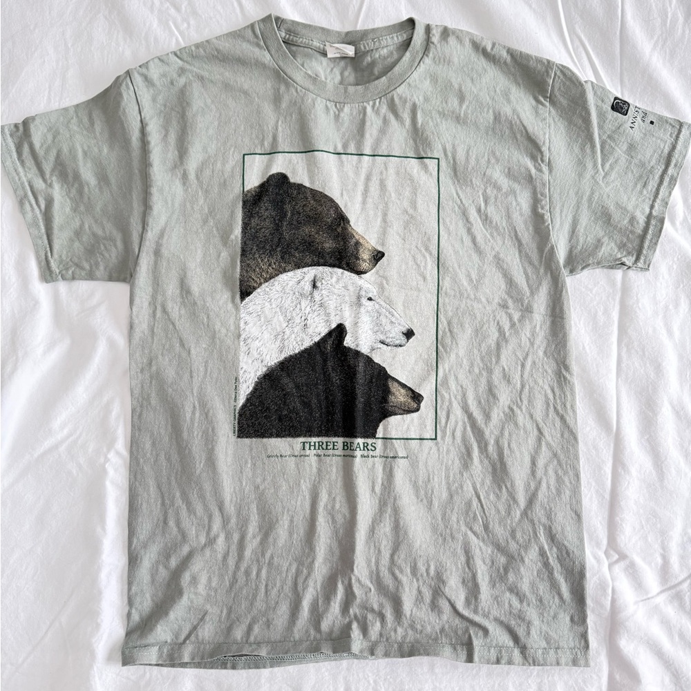 Hanes Authentic Light Green tee